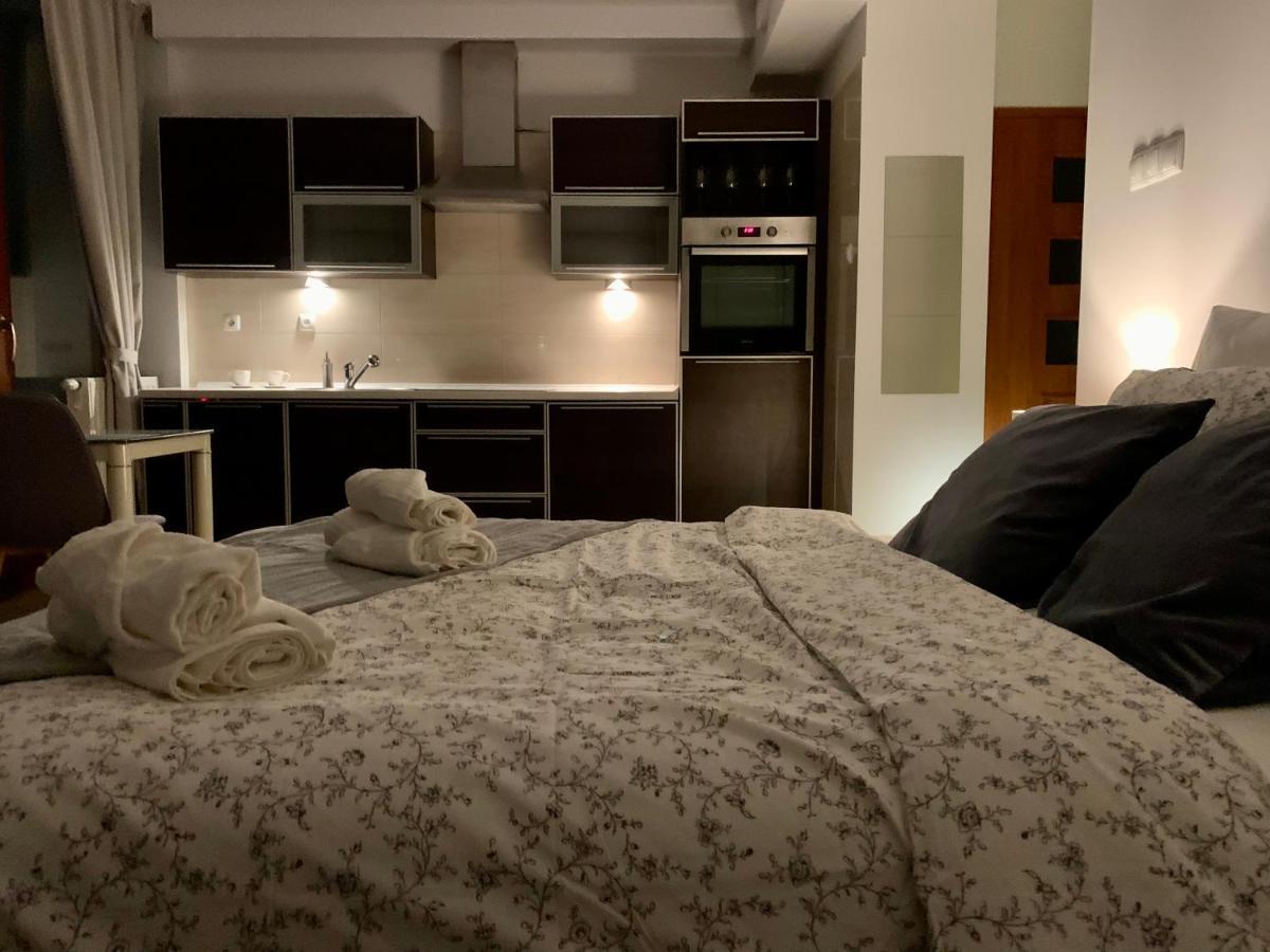 City View Wellness Apartment Swim&Steam&Relax Cracóvia Exterior foto