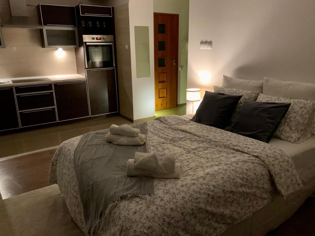 City View Wellness Apartment Swim&Steam&Relax Cracóvia Exterior foto